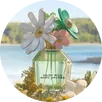 Fragrannce